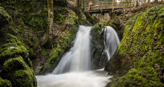 Eifel Tourismus 2021 479 Wasserfall die Rausch bei Maria Martental Eifejpg