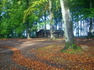 Martinshütte